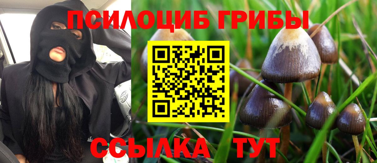 Псилоцибиновые грибы GOLDEN TEACHER  Вход с VPN  Псилоцибиновые грибы Psilocybine cubensis  Кузнецк 